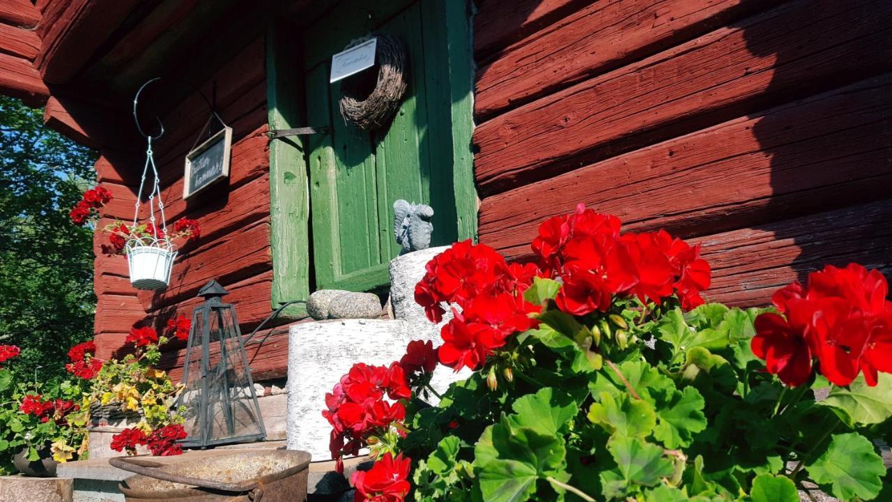 Villa Vuorenpaeae Tammela Luaran gambar